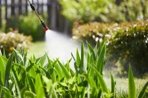 Tamper-Resistant Bait Stations for Rodents in Alamo