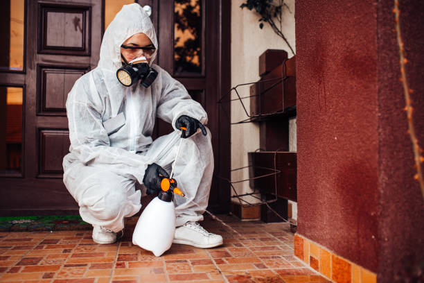 Attic and Crawl Space Rodent Treatment in Alamo